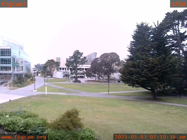 Fogcam image